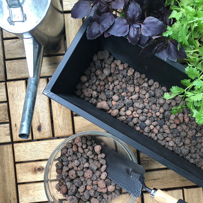 Sådan planter du krydderurter på altanen - Plantorama