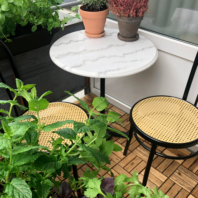Sådan planter du krydderurter på altanen - Plantorama