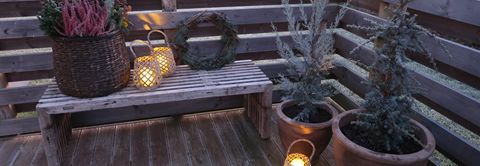 Skab liv i vinterhaven med lys og planter - Plantorama