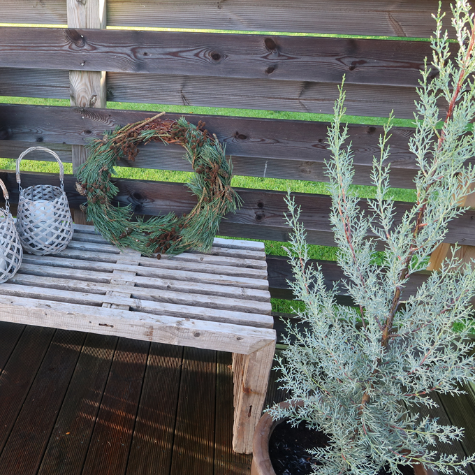 Skab liv i vinterhaven med lys og planter - Plantorama