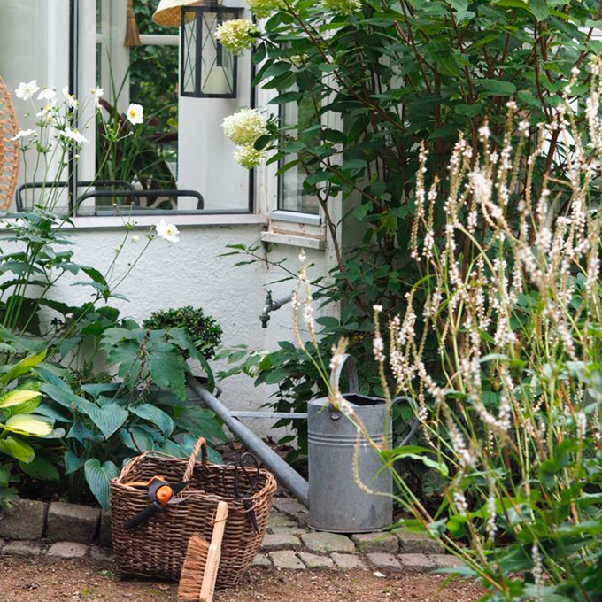 Velegnede planter til skyggebedet - Plantorama og Livsnyderhaven