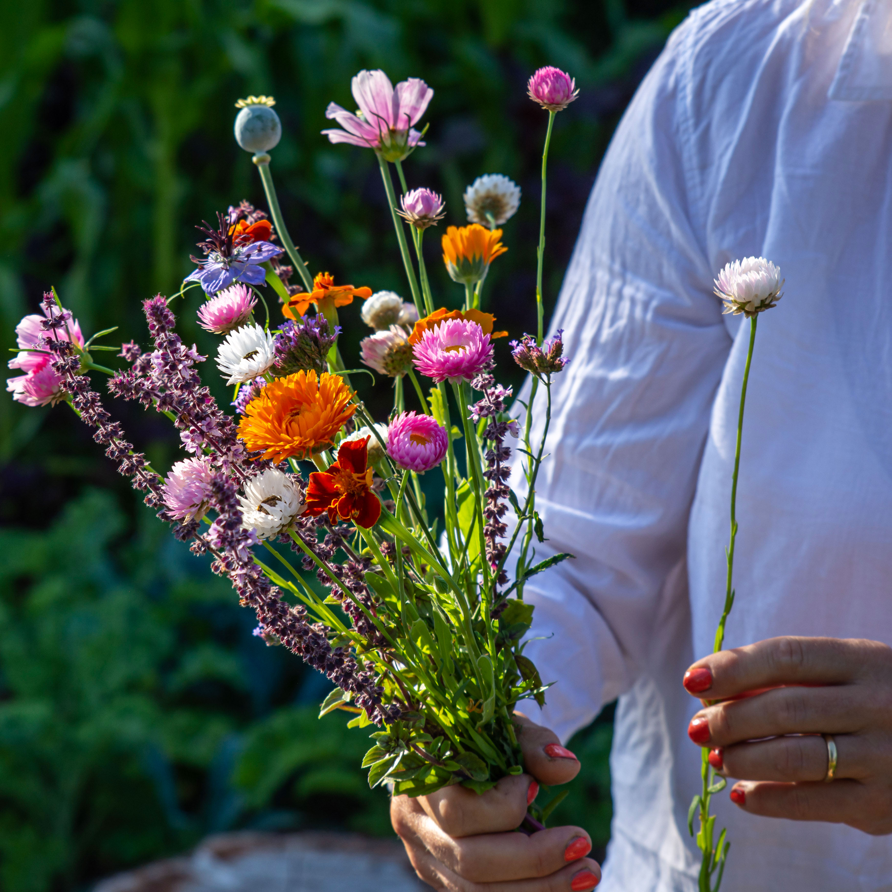dyrk dine egne snitblomster