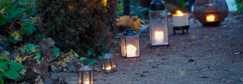 Tips til en hyggelig julestemning i vinterhaven - Plantorama
