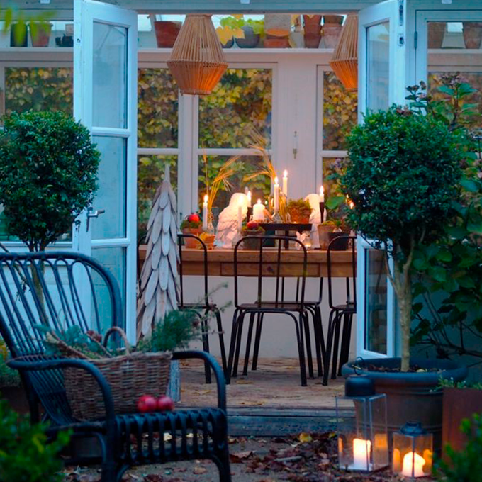 Tips til en hyggelig julestemning i vinterhaven - Plantorama