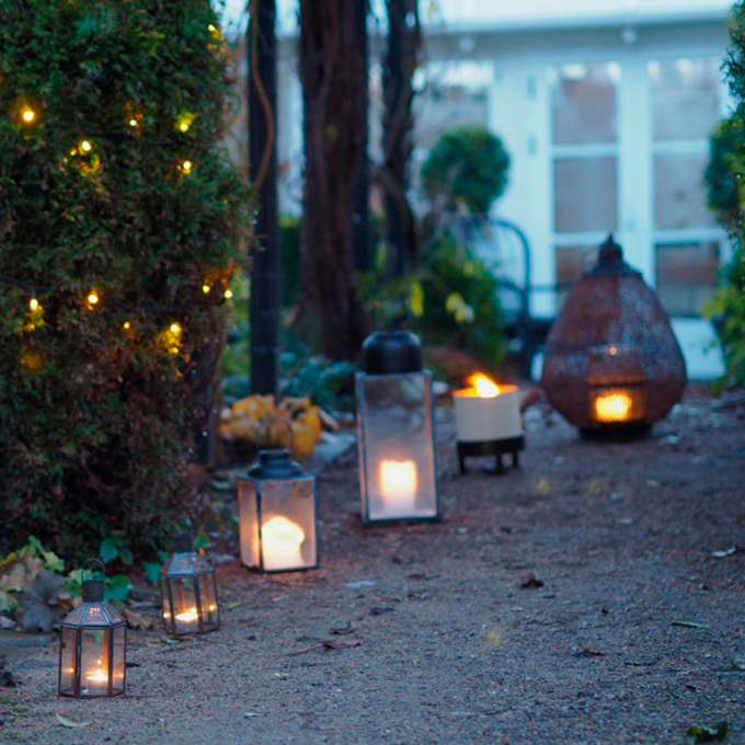 Tips til en hyggelig julestemning i vinterhaven - Plantorama