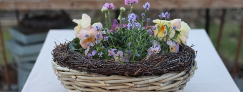 Blomstrende pasteller ude og inde - Plantorama