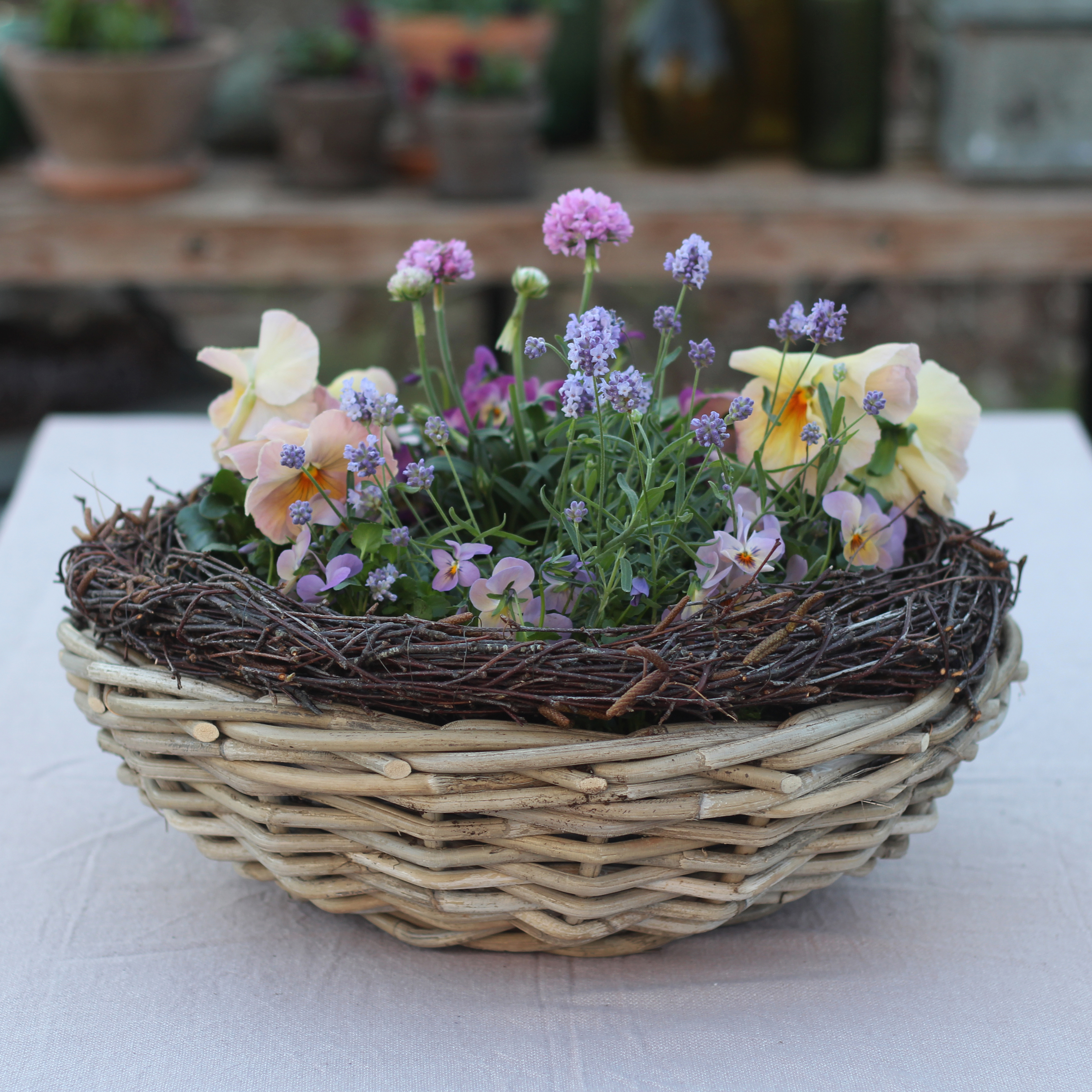 Blomstrende pasteller ude og inde - Plantorama