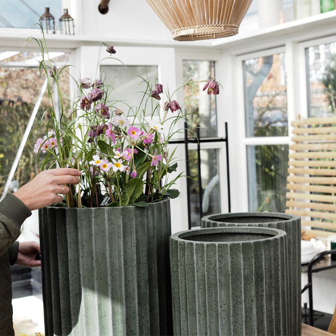 Få succes med dine forårskrukker nu - Plantorama