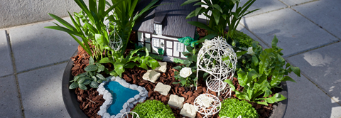 Skab en personlig havekrukke med mini-eventyrhaver - Plantorama