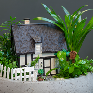 Skab en personlig havekrukke med mini-eventyrhaver - Plantorama