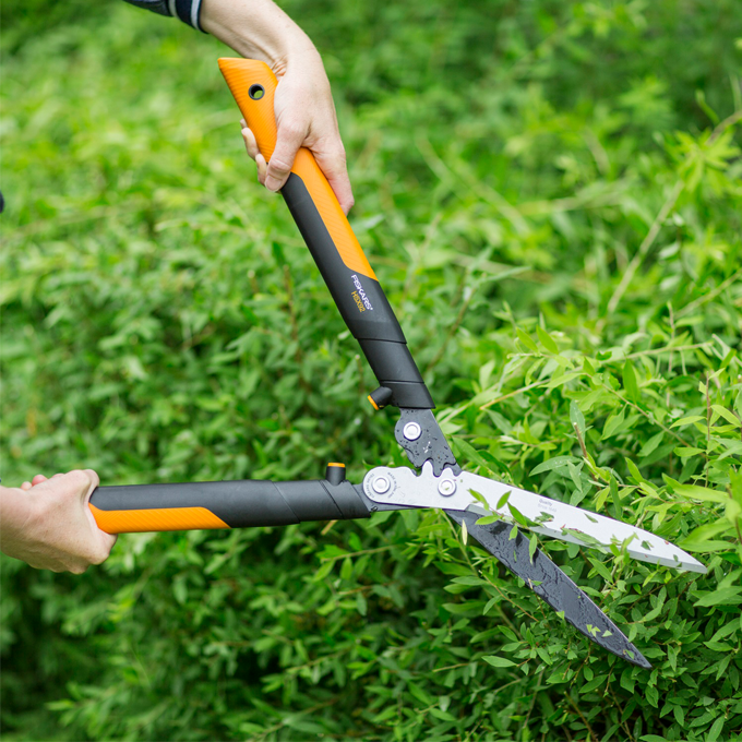 Udplantning og pasning af hækplanter - Plantorama