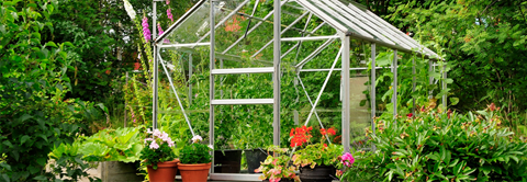Få 6 grunde til, hvorfor alle burde have et drivhus hos Plantorama