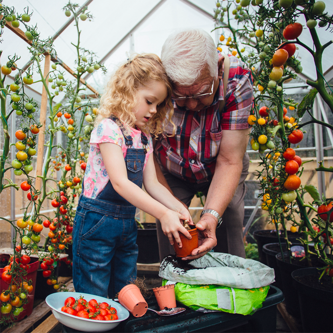 Sådan dyrker du økologisk i drivhuset - Plantorama