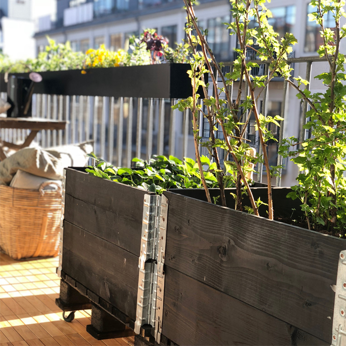 DIY: Byg selv højbede på hjul - Plantorama