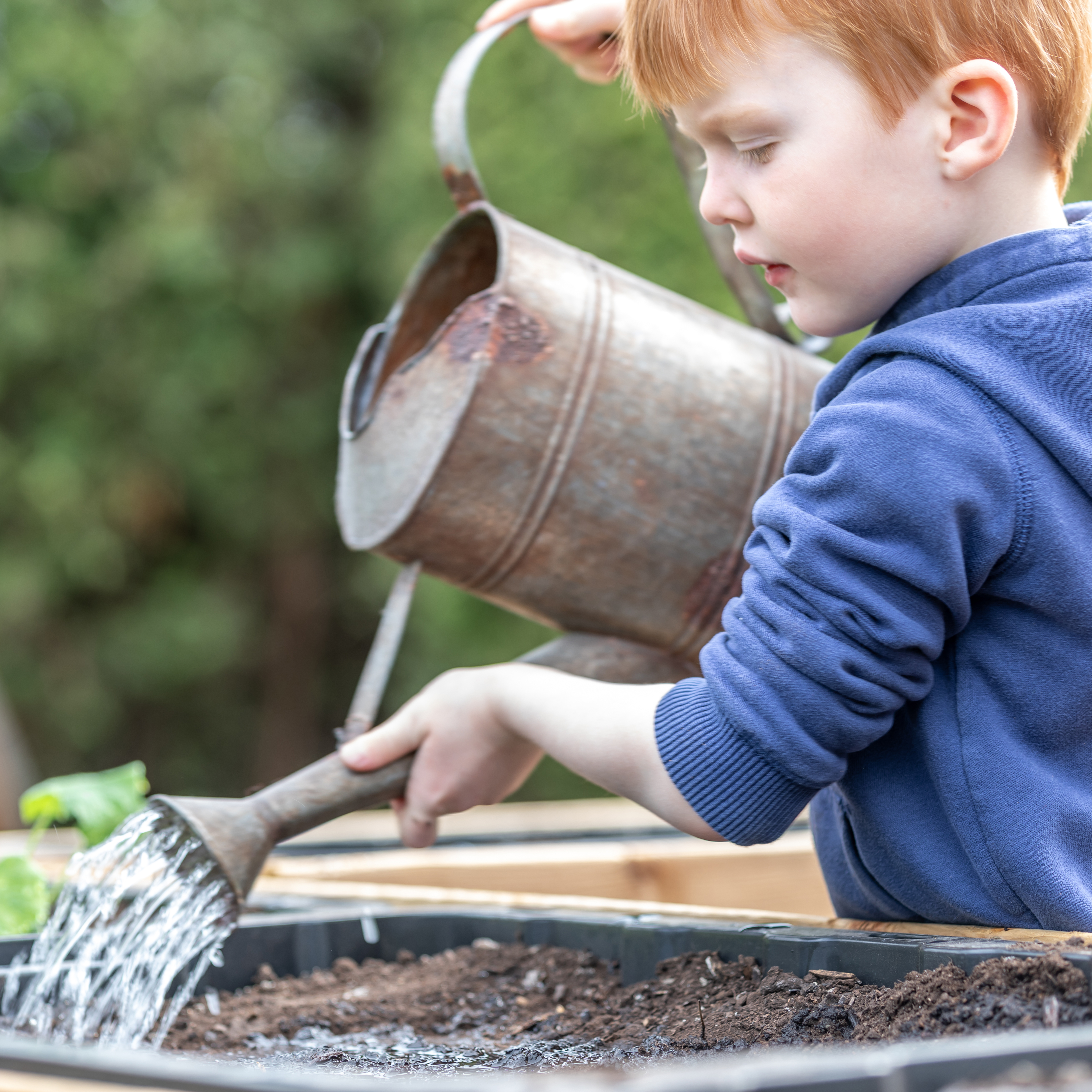 Dyrk selv sammen med børnene - Plantorama