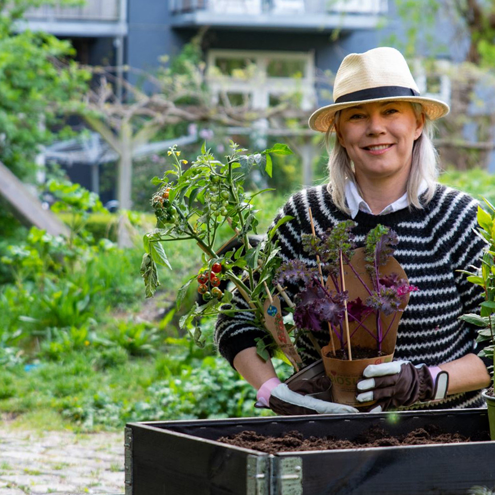Guide til byhaver: 5 planter du kan dyrke i byhaven - Plantorama
