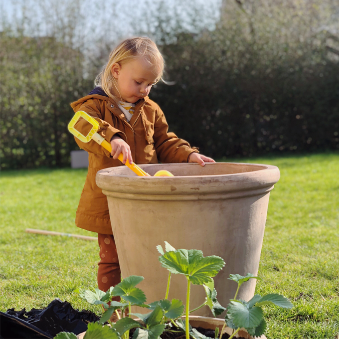 Sådan laver du en børnevenlig køkkenhave - Plantorama