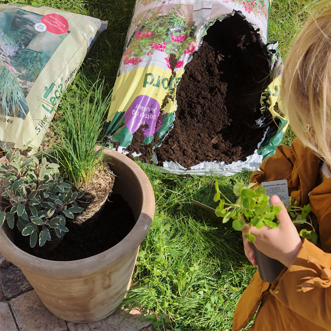 Sådan laver du en børnevenlig køkkenhave - Plantorama