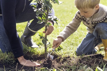 Job i Plantorama - ledige stillinger
