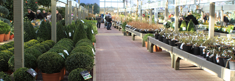 Mere omkring Plantorama