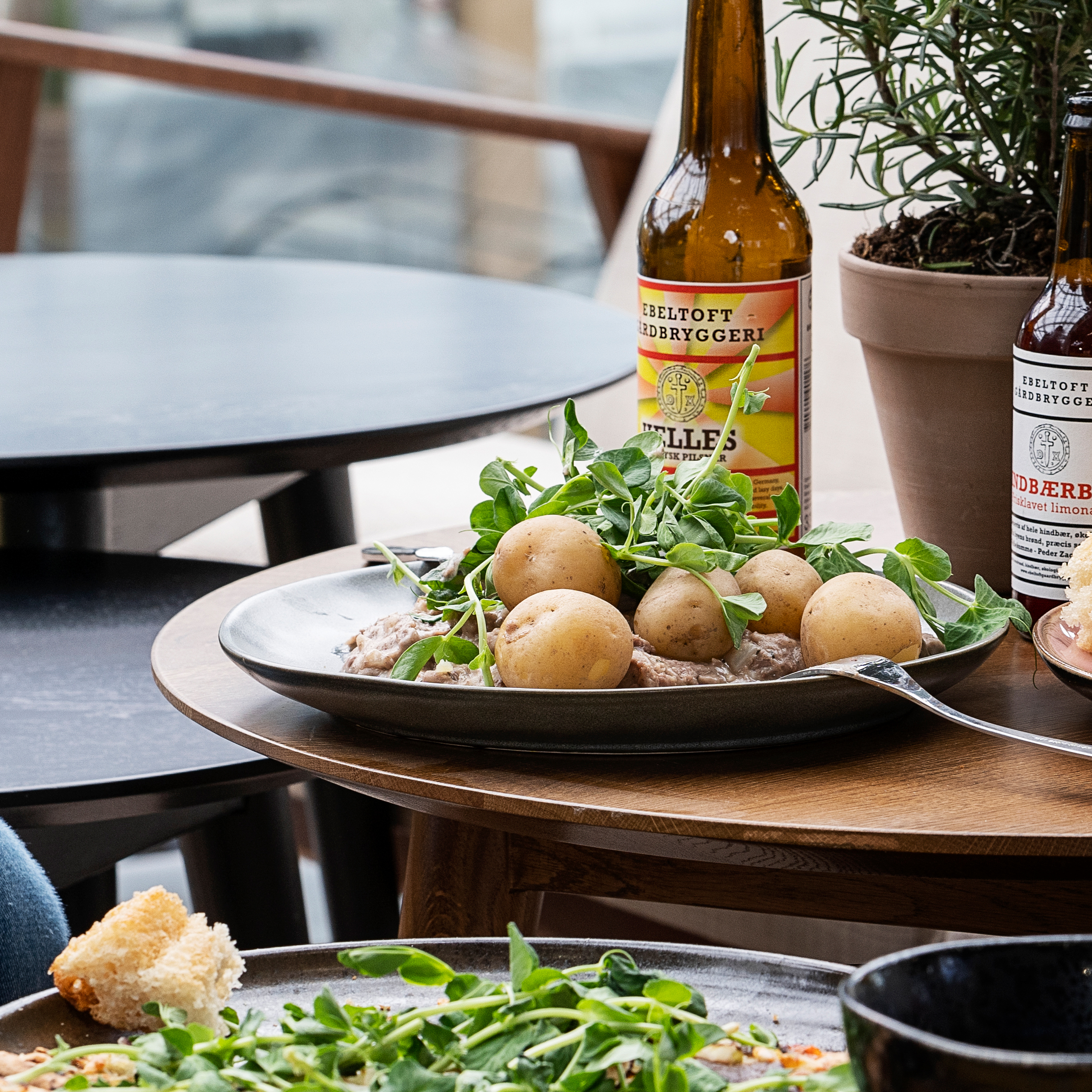 Besøg Plantoramas restaurant midt i oasen i Tilst og Hørsholm