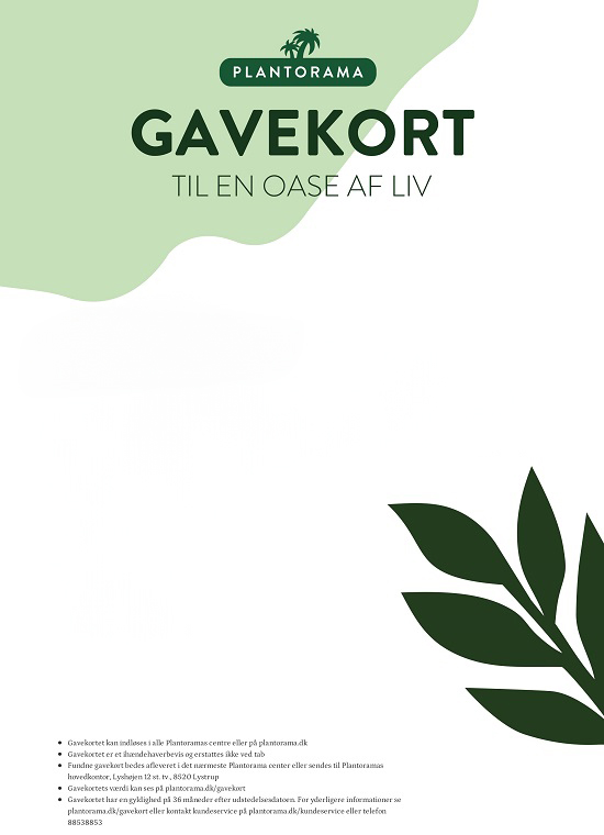 Gavekort billde