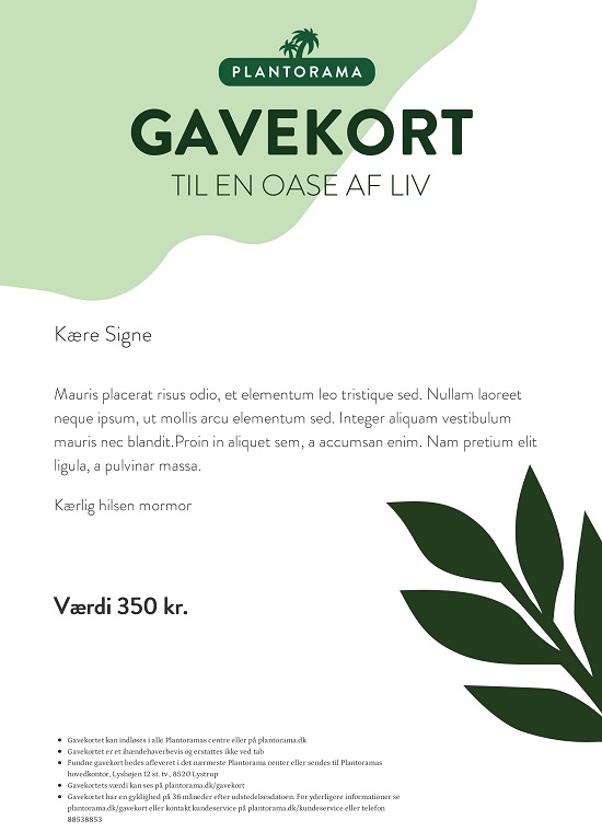 Gavekort billde